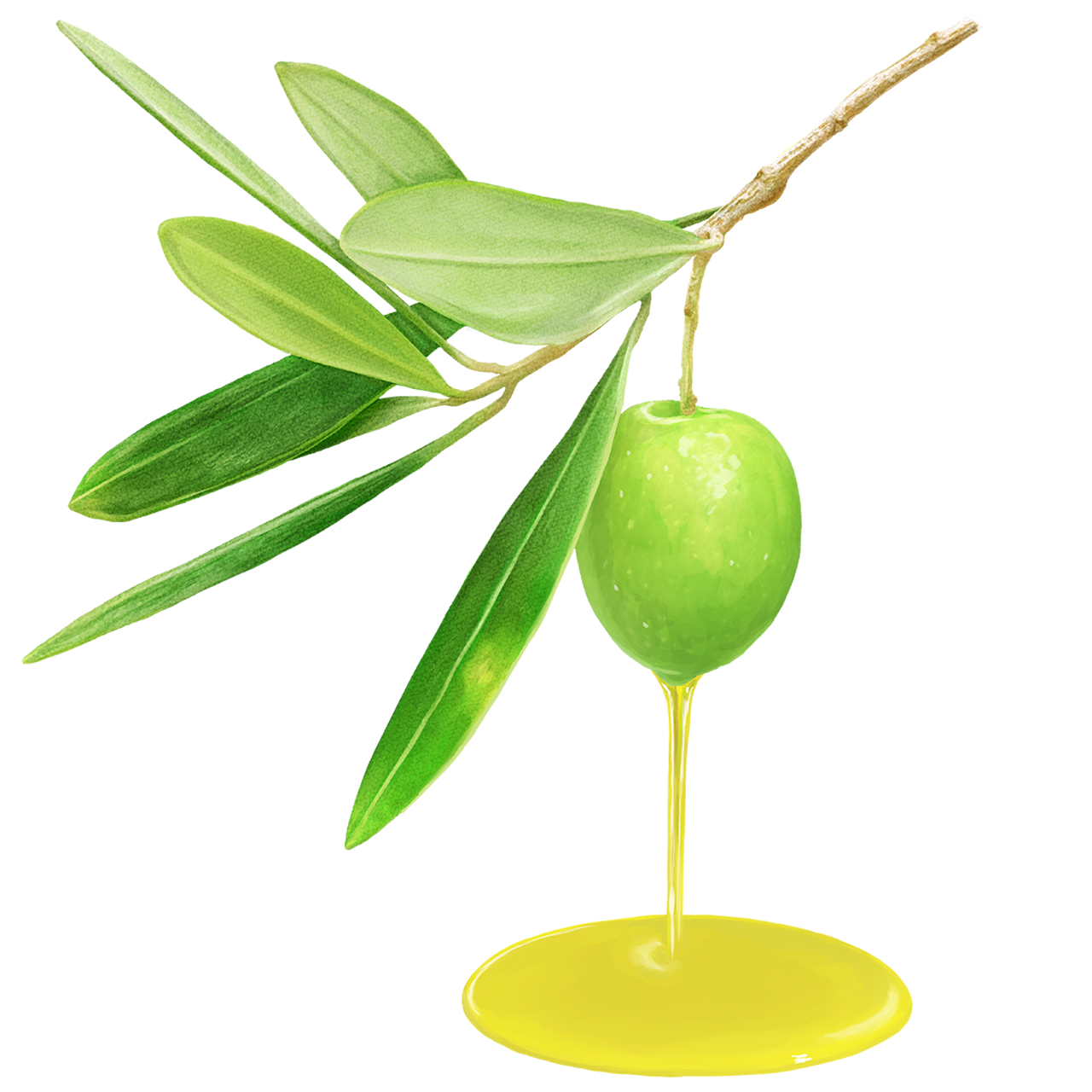 オリーブオイル