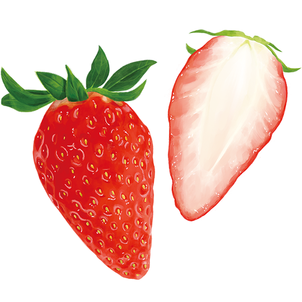 あきひめ苺