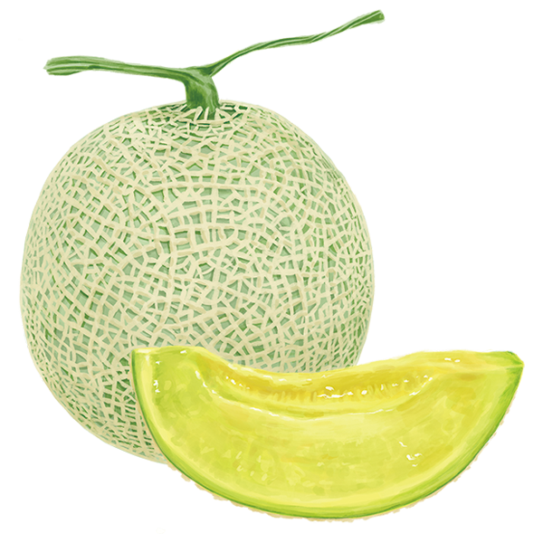 マスクメロン