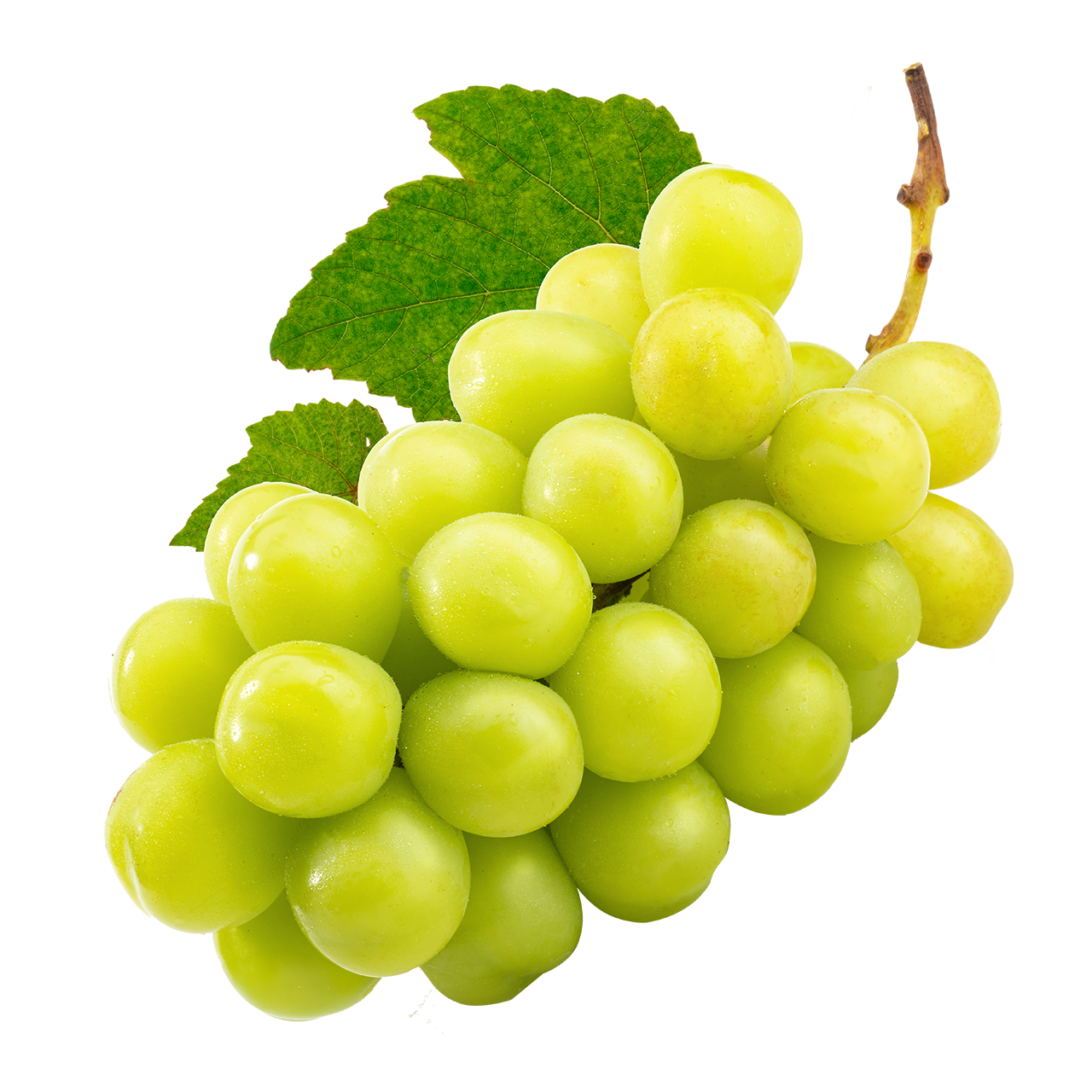 シャインマスカット