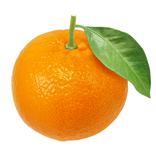 はるみヨーグルト